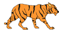 tiger.gif